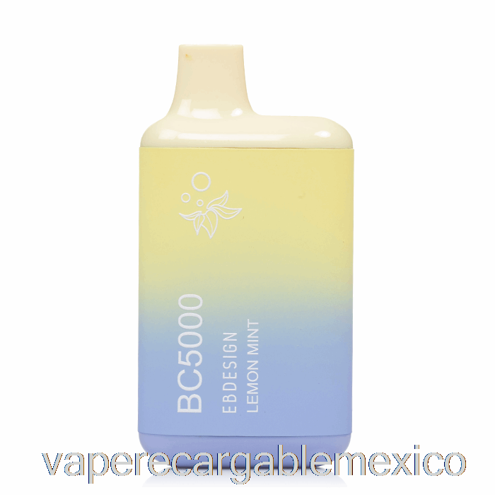 Vape Recargable Bc5000 Desechable Limon Menta